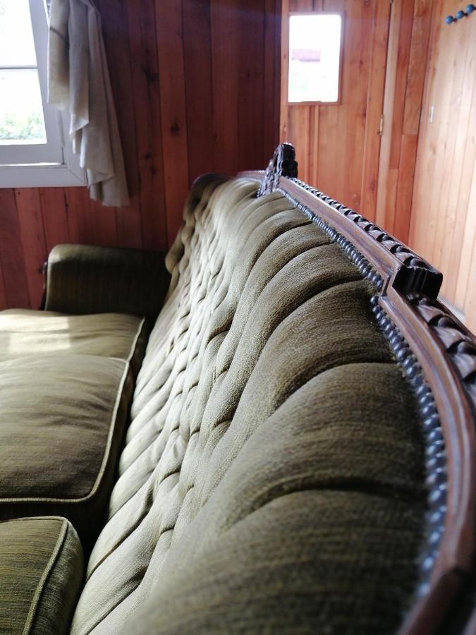 Wesley House Hosteria Boutique San Martín de los Andes 外观 照片